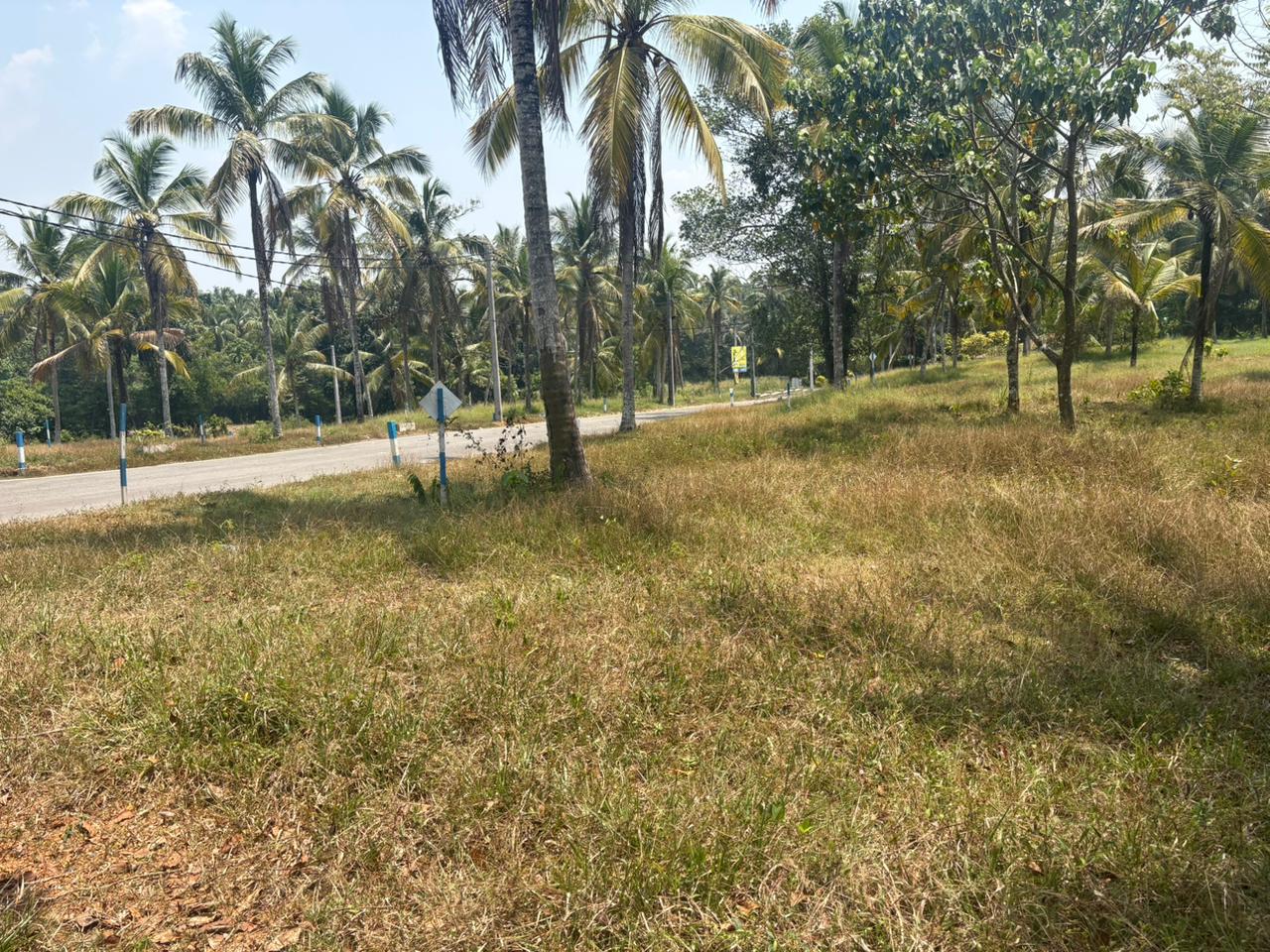 Land for Sale In Veyangoda