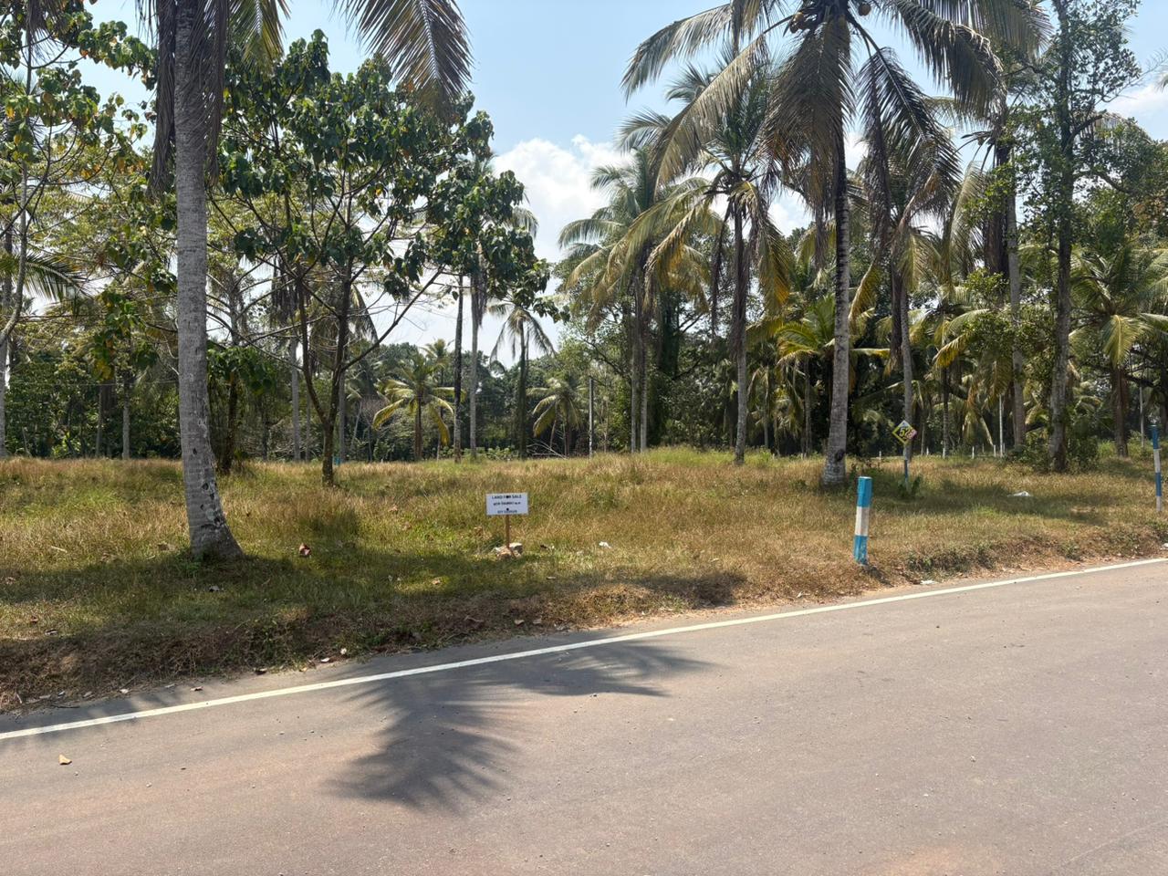 Land for Sale In Veyangoda