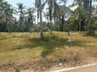 Land for Sale In Veyangoda