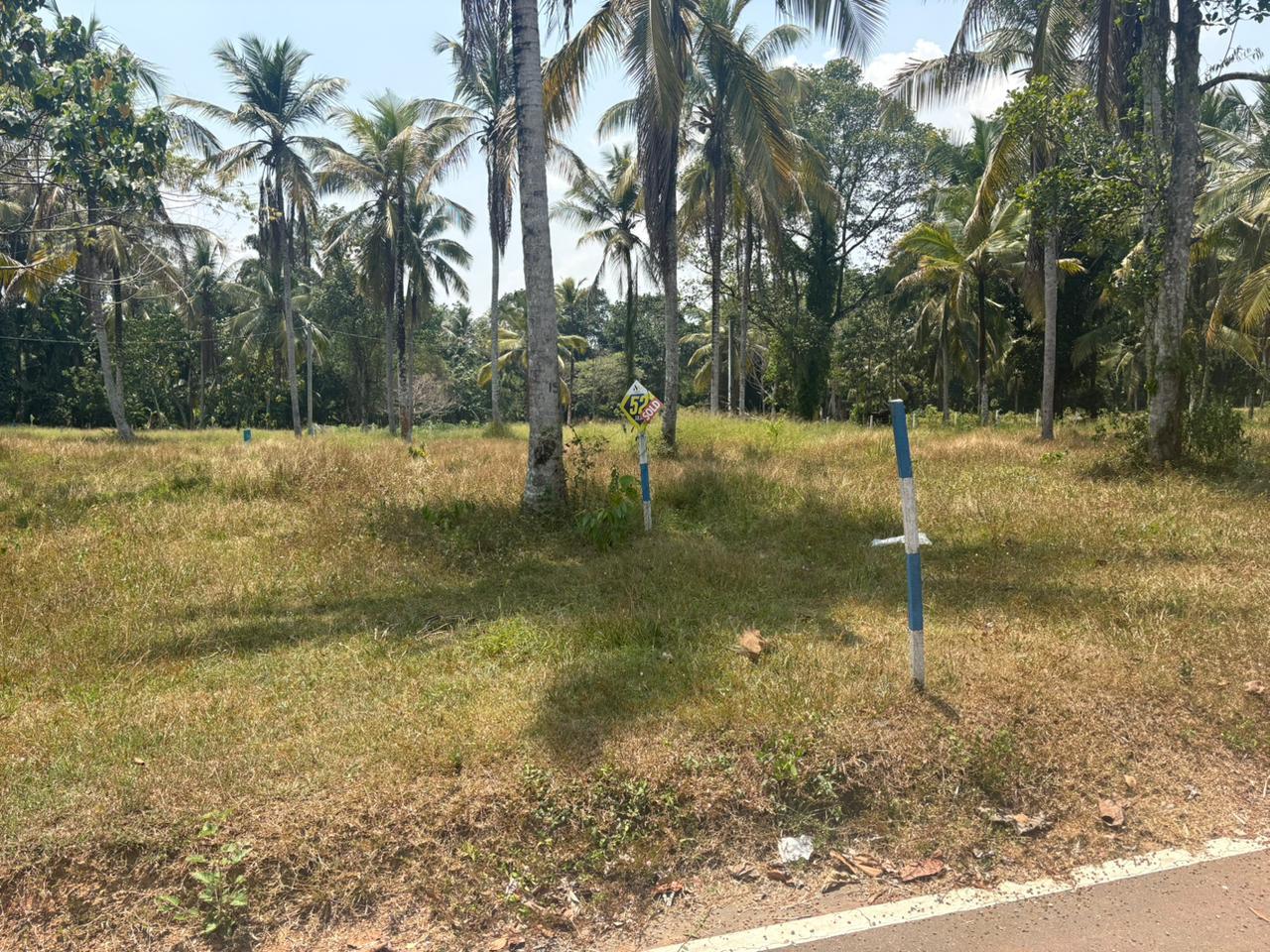 Land for Sale In Veyangoda
