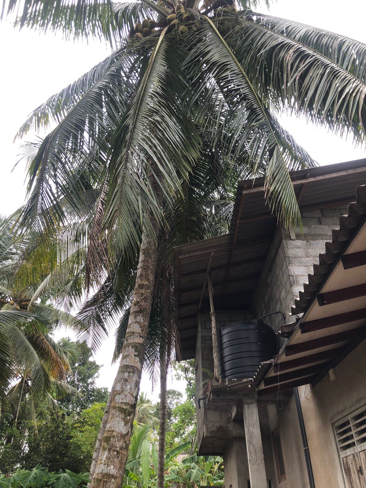 House with Land for Sale Weliweriya