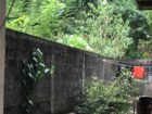 House with Land for Sale Weliweriya
