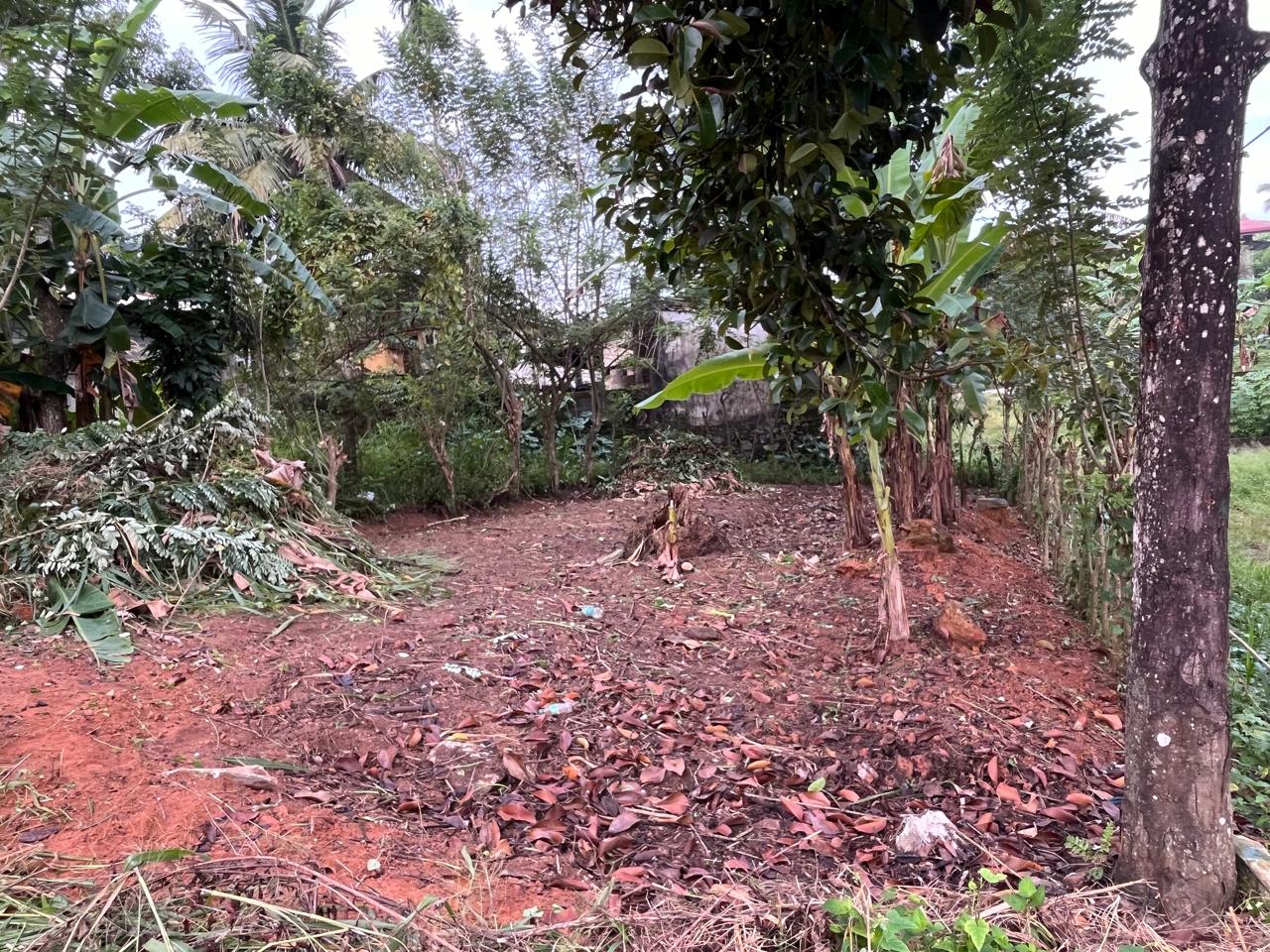 Land for Sale Polgasowita