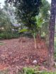 Land for Sale Polgasowita