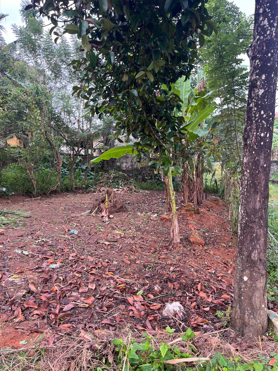 Land for Sale Polgasowita