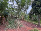 Land for Sale Polgasowita