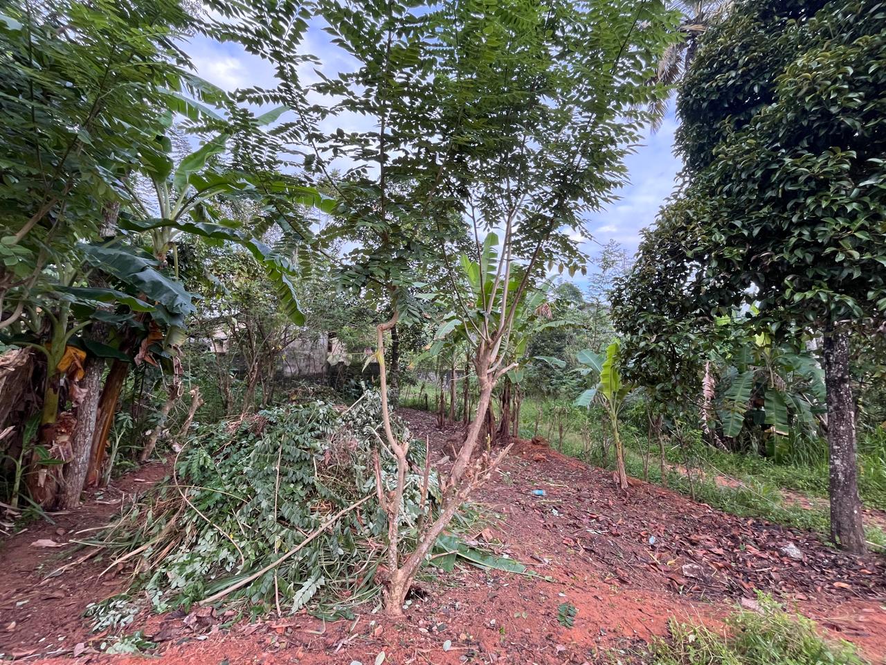 Land for Sale Polgasowita