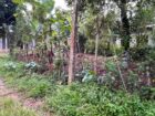 Land for Sale Polgasowita