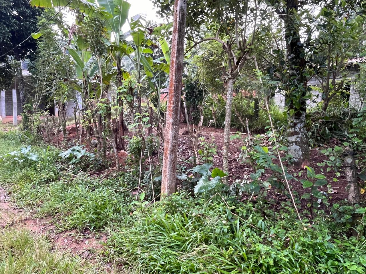 Land for Sale Polgasowita