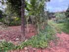 Land for Sale Polgasowita