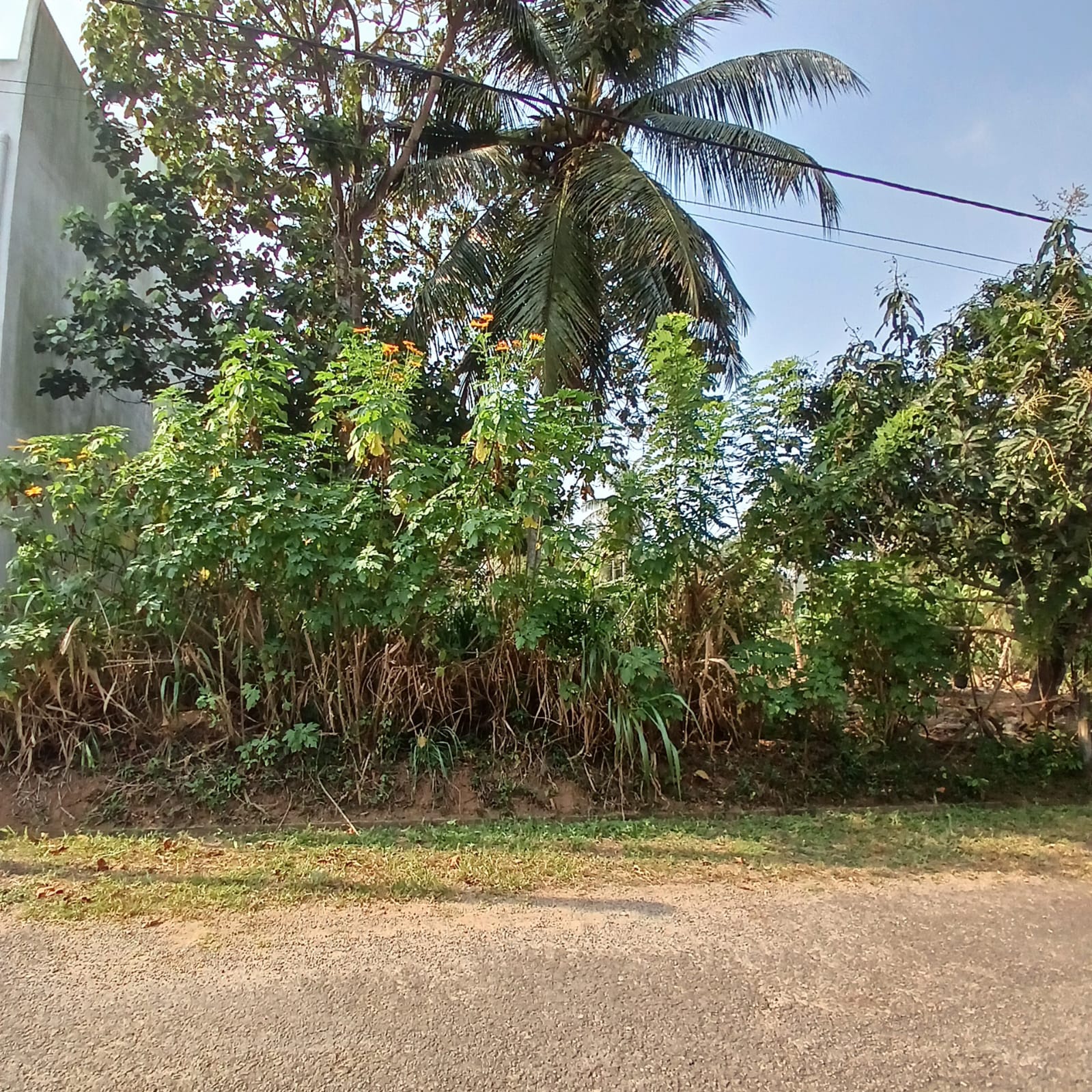8.5 P Land for Sale in Athurugiriya( Prime Paradise City)