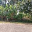 8.5 P Land for Sale in Athurugiriya( Prime Paradise City)