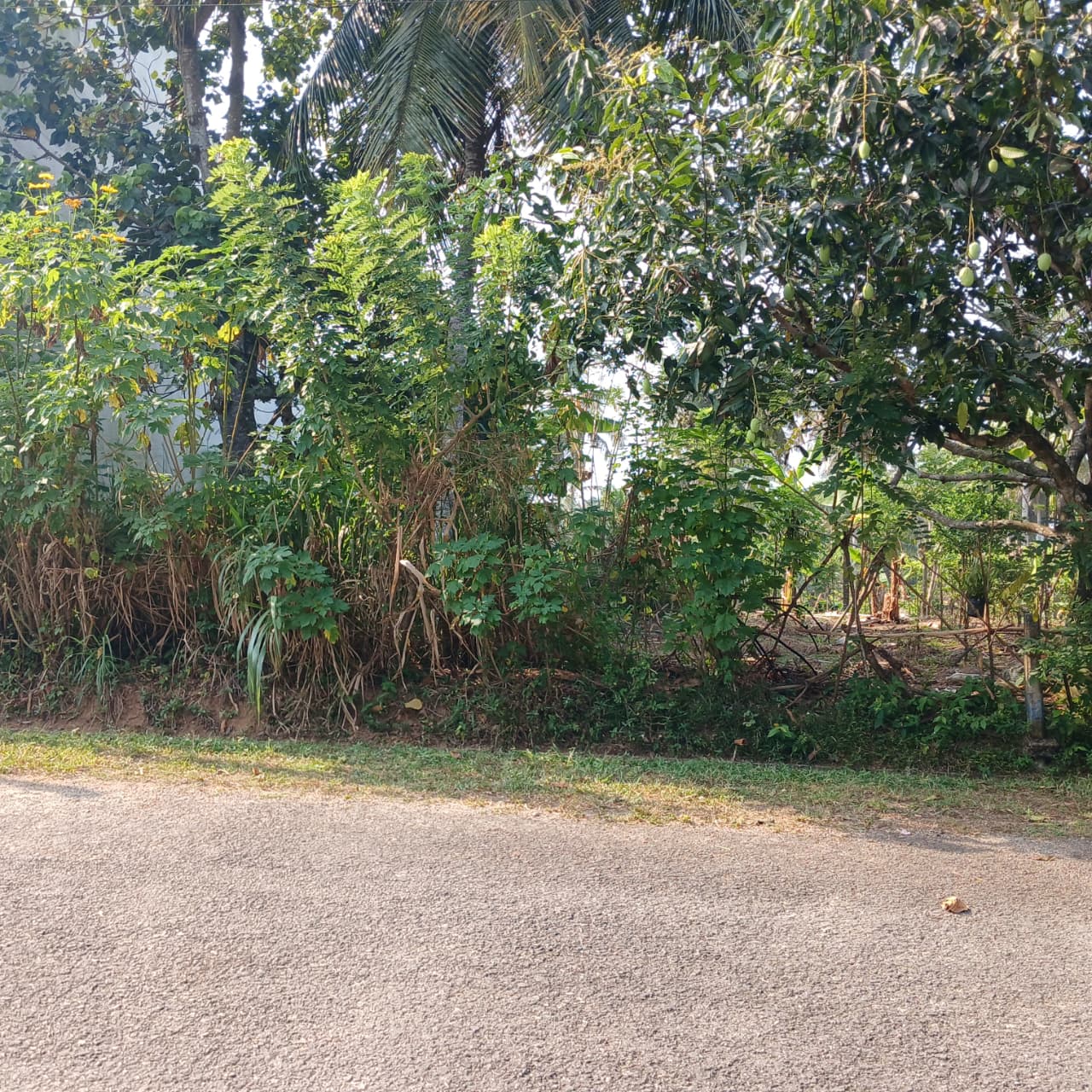 8.5 P Land for Sale in Athurugiriya( Prime Paradise City)