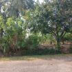 8.5 P Land for Sale in Athurugiriya( Prime Paradise City)