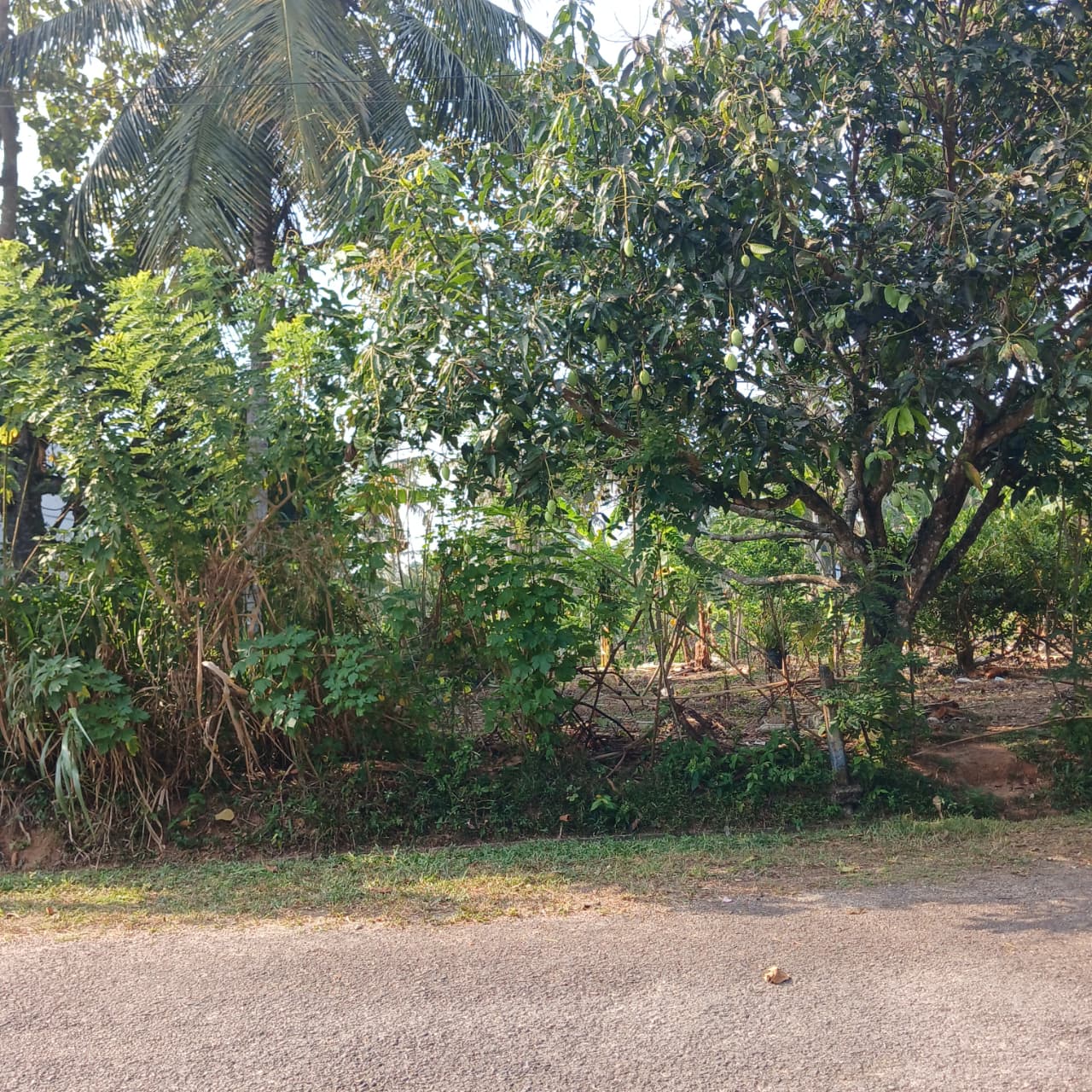 8.5 P Land for Sale in Athurugiriya( Prime Paradise City)