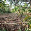 8.5 P Land for Sale in Athurugiriya( Prime Paradise City)