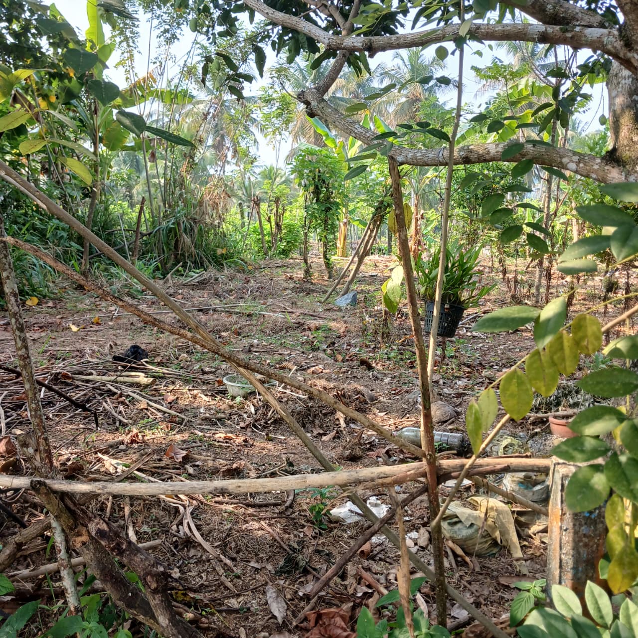 8.5 P Land for Sale in Athurugiriya( Prime Paradise City)