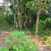 8.5 P Land for Sale in Athurugiriya( Prime Paradise City)