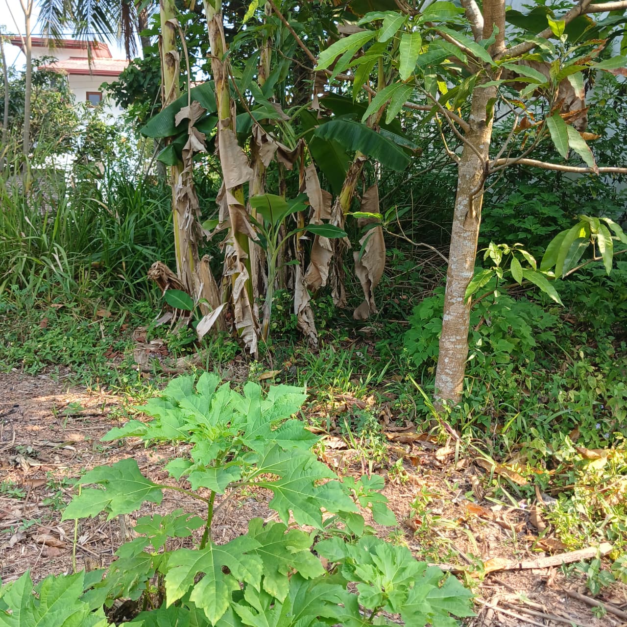 8.5 P Land for Sale in Athurugiriya( Prime Paradise City)