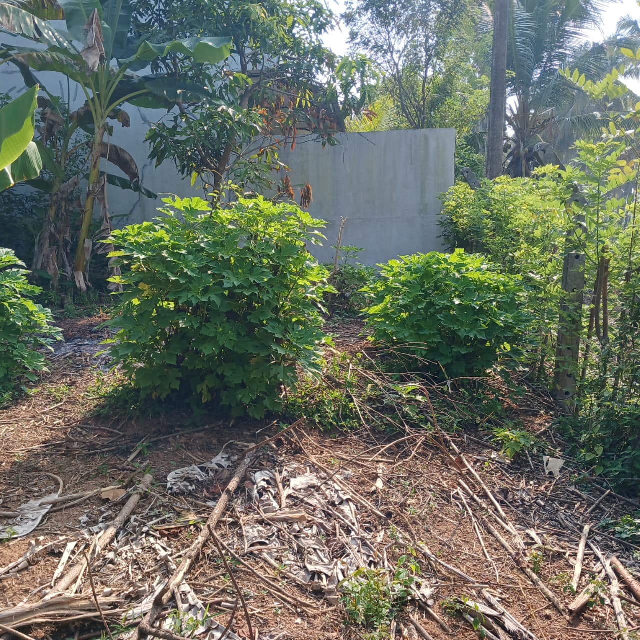 8.5 P Land for Sale in Athurugiriya( Prime Paradise City)