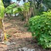 8.5 P Land for Sale in Athurugiriya( Prime Paradise City)
