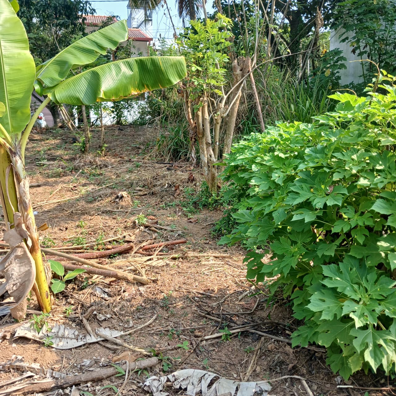 8.5 P Land for Sale in Athurugiriya( Prime Paradise City)
