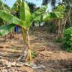 8.5 P Land for Sale in Athurugiriya( Prime Paradise City)