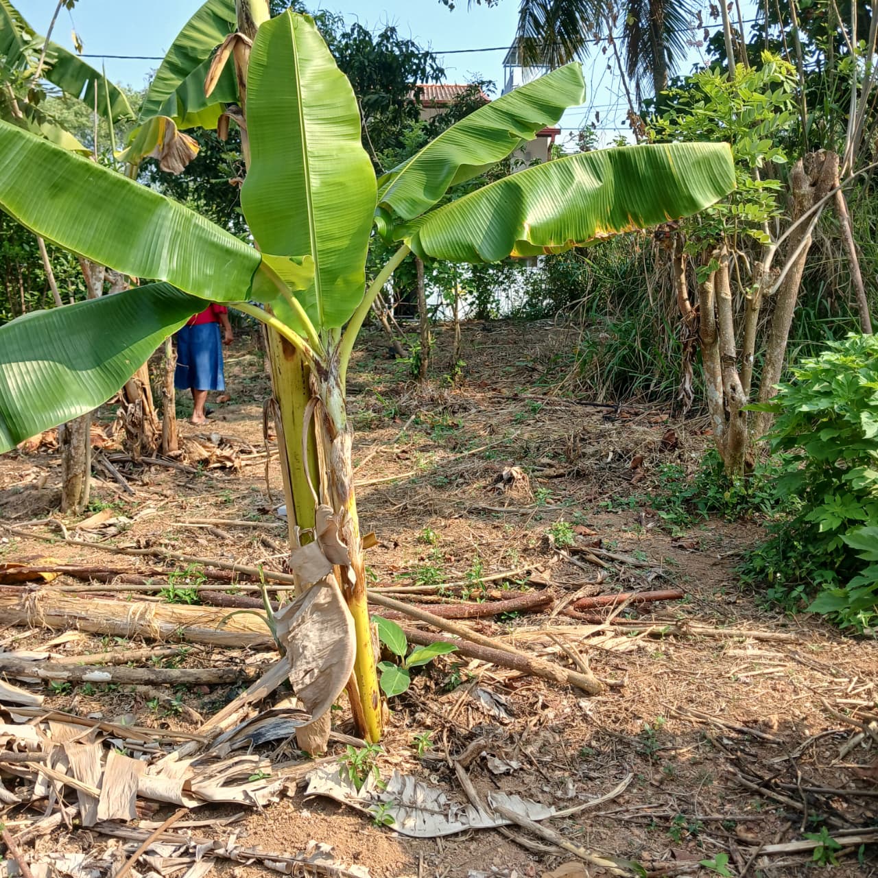 8.5 P Land for Sale in Athurugiriya( Prime Paradise City)