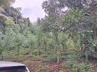 Residential Land for Sale in Kegalle