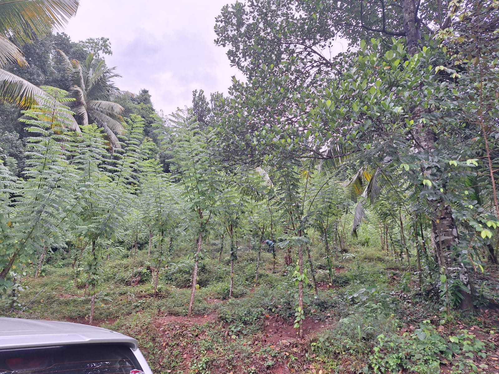 Residential Land for Sale in Kegalle