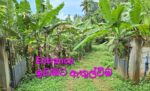 Residential Land for Sale in Kegalle