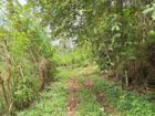 Residential Land for Sale in Kegalle