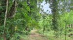 Residential Land for Sale in Kegalle