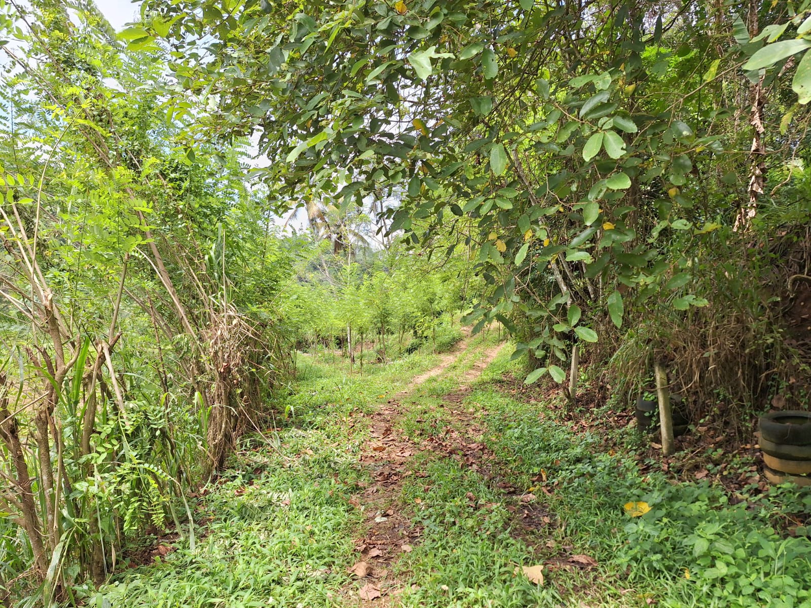 Residential Land for Sale in Kegalle
