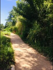 WhatsApp-Image-2026-03-10-at-21.29.20-1