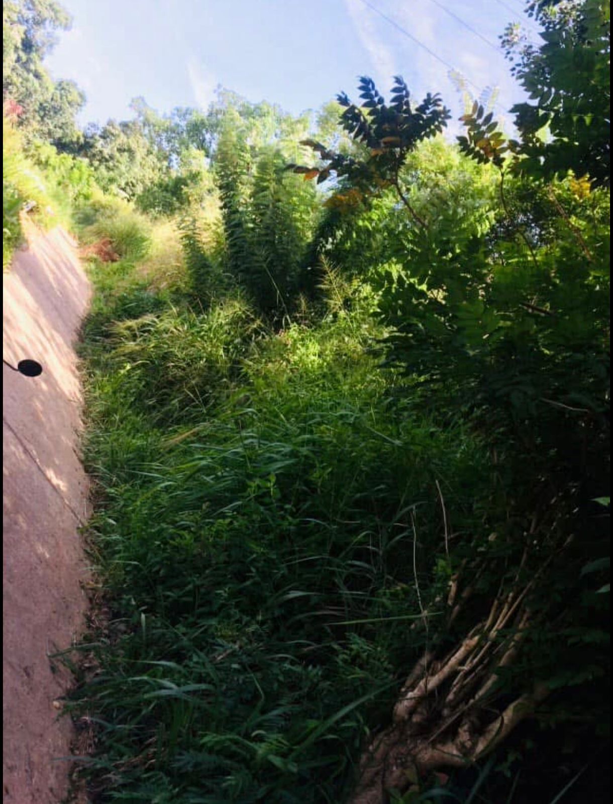 Land For Sale In Pinarawa, Badulla