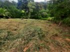 Land for Sale Gampola