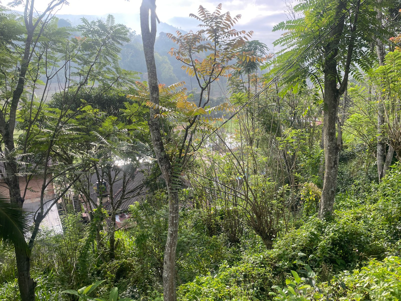 Land for Sale – Haliela