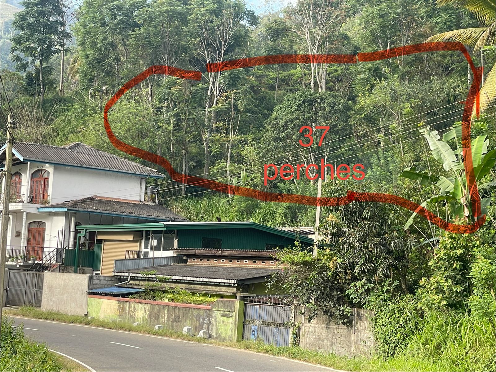 Land for Sale – Haliela