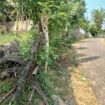 Land For Sale In මාගම්මන,Homagama