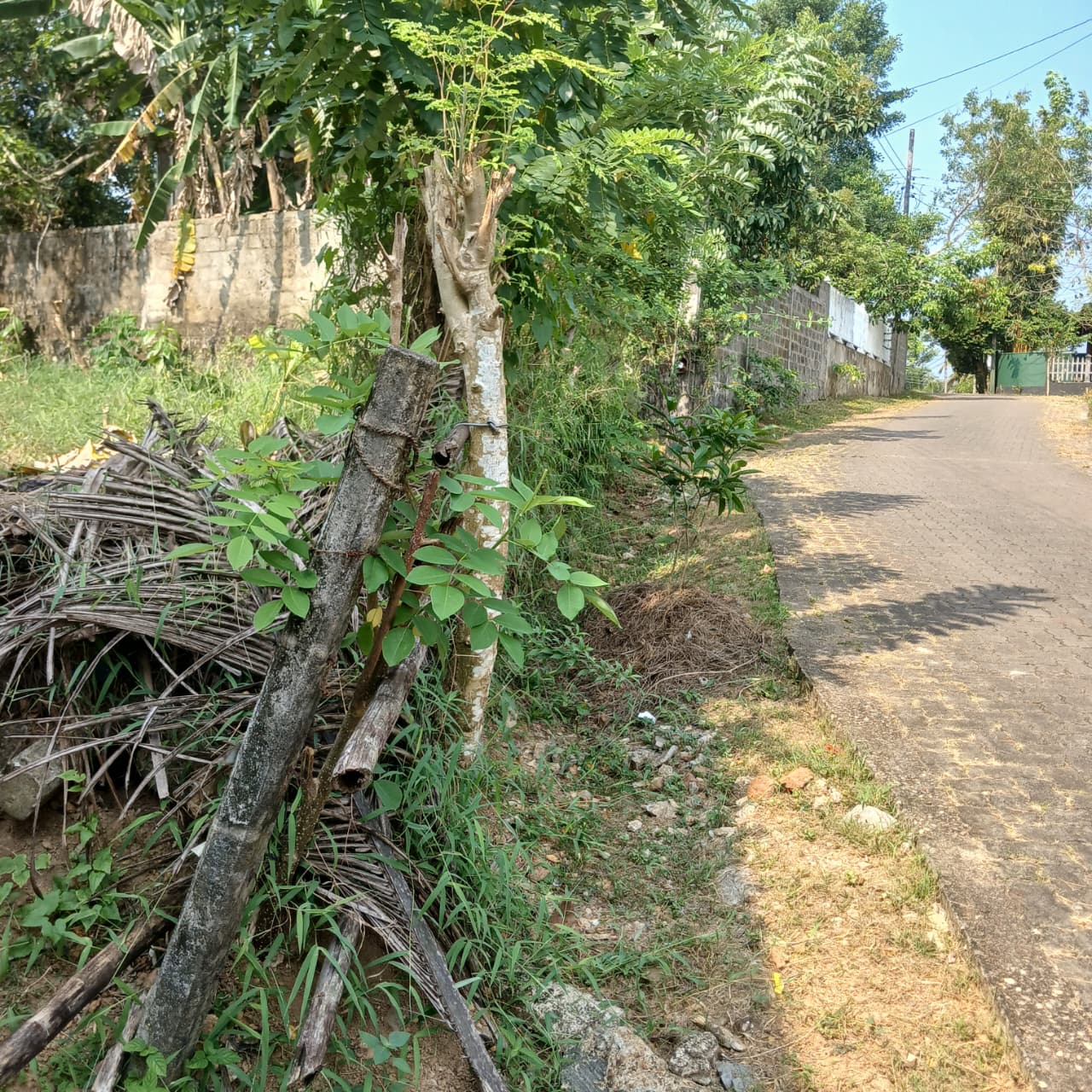 Land For Sale In මාගම්මන,Homagama