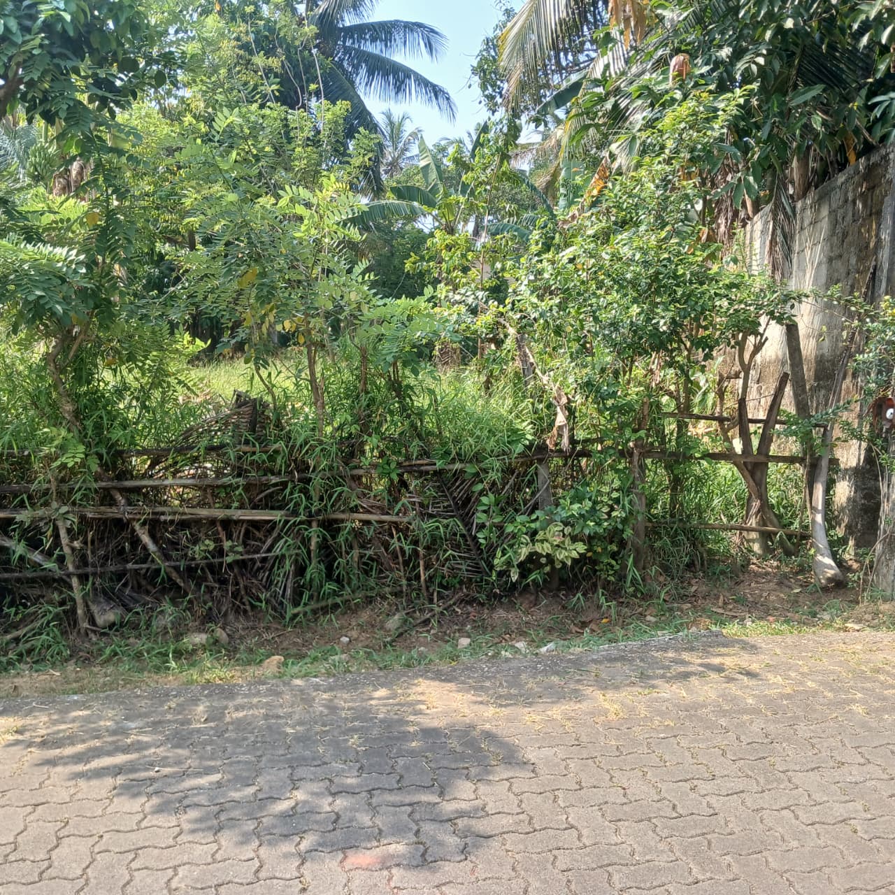 Land For Sale In මාගම්මන,Homagama