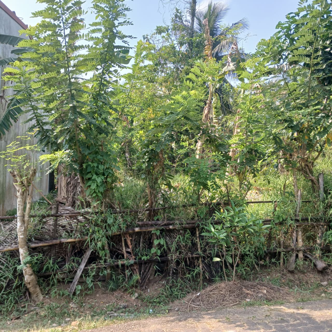 Land For Sale In මාගම්මන,Homagama