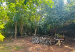 House with Land for Sale in Malabe