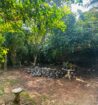 House with Land for Sale in Malabe