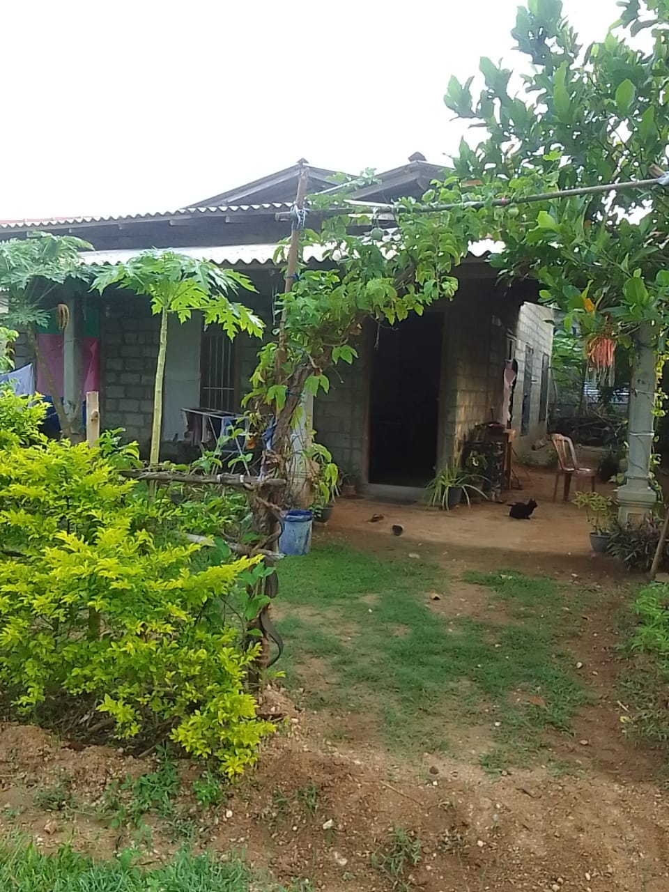 House for Sale Ethiliwewa