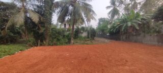 WhatsApp-Image-2026-03-14-at-11.18.11