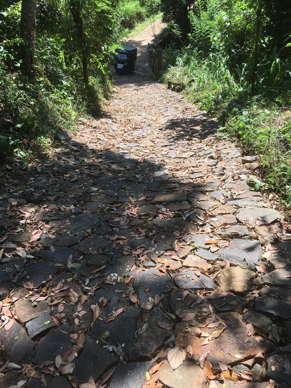 Land with houses for sale baeragala