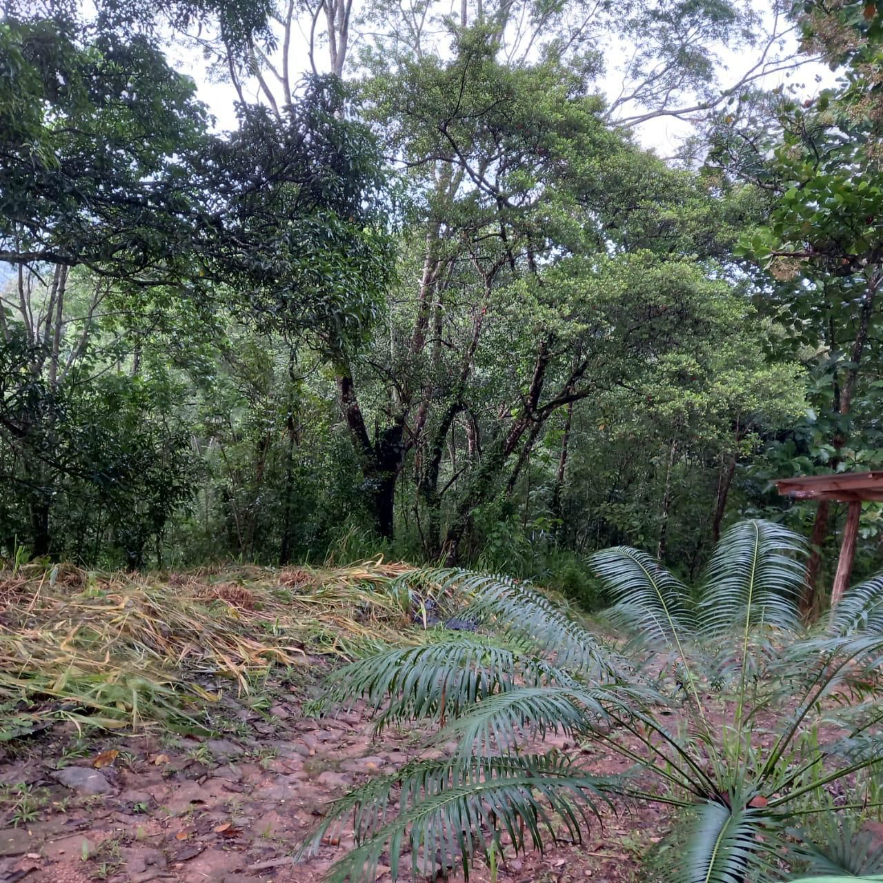 Land with houses for sale baeragala