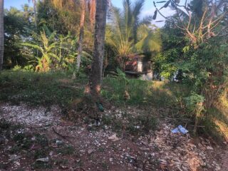 WhatsApp-Image-2026-03-15-at-22.21.50